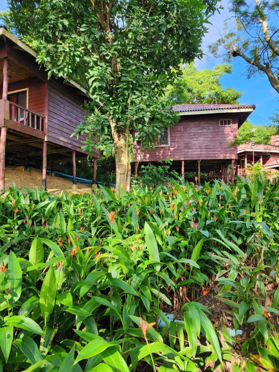 Sweet Jungle Bungalows Kaoh Touch Exterior foto